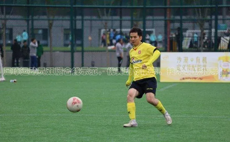 杏鑫平台代理百度网盘