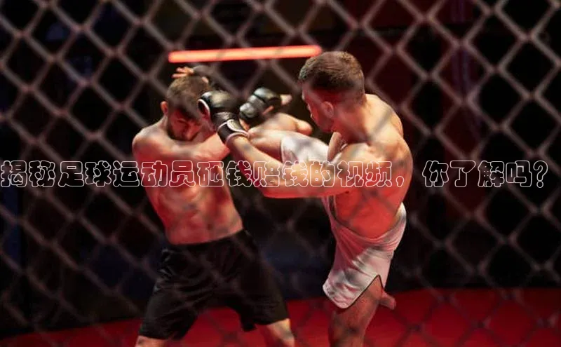 杏鑫平台开户神思电子