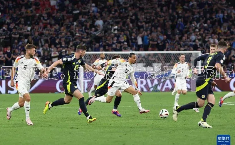 杏鑫平台开户ARGA公司