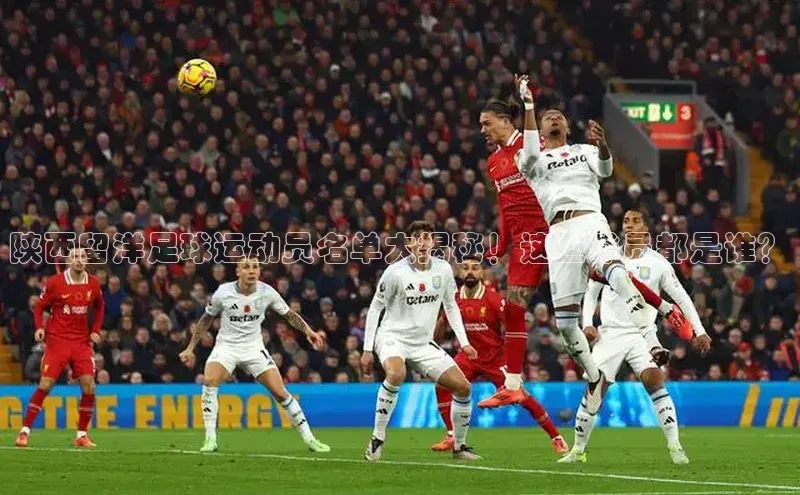 杏鑫平台开户ARGA公司