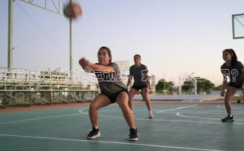 杏鑫彩票app官方下载观星盘