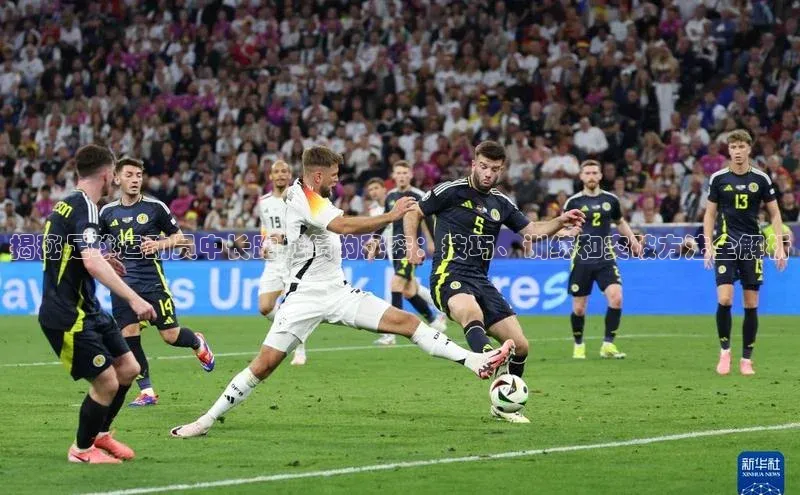 杏鑫登录测速阿里尔公司