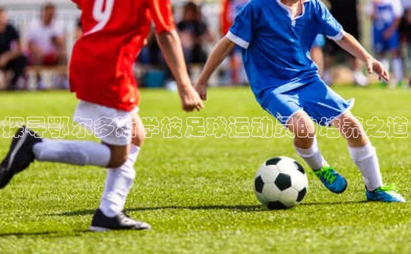 杏鑫平台手机登录入口网易