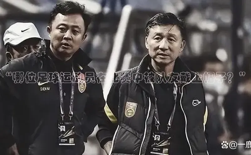 杏鑫测速注册雷柏科技