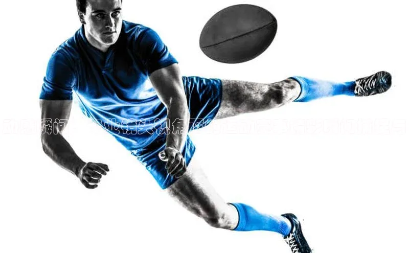 杏鑫平台注册官网