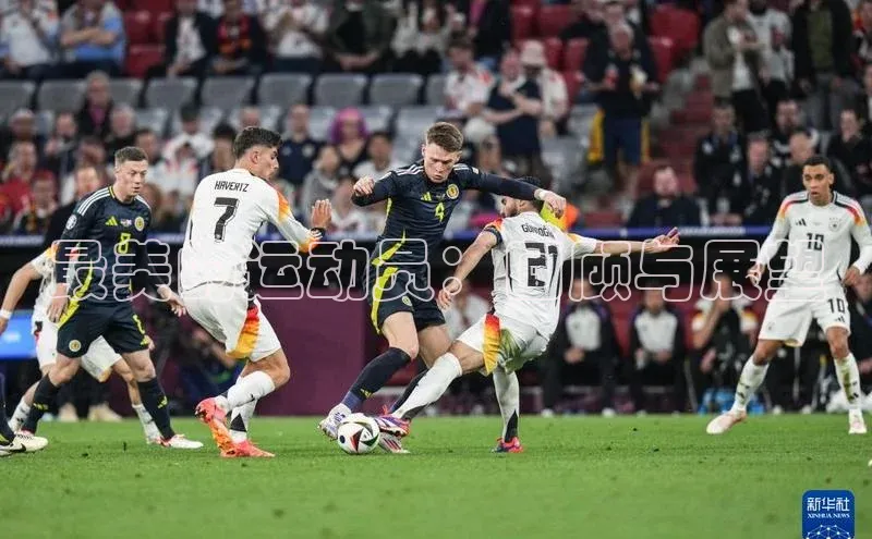 杏鑫平台手机登录入口