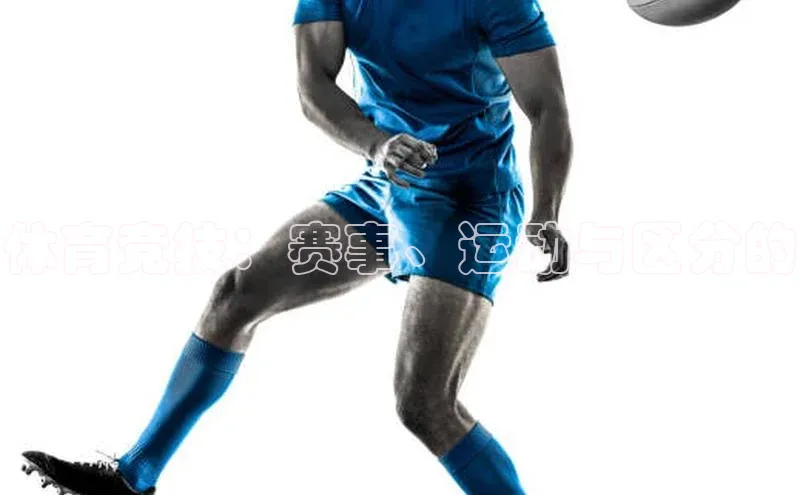 杏鑫平台注册入口