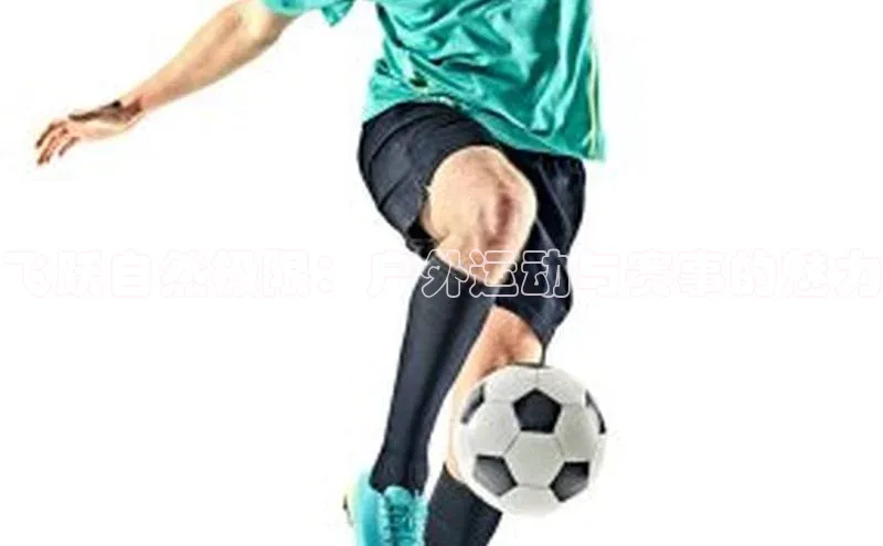 杏鑫平台注册登录