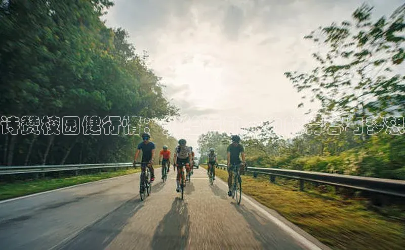 杏鑫平台登录地址