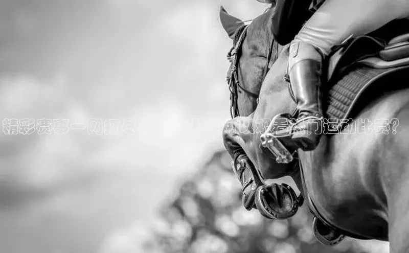 杏鑫测速官网登录入口