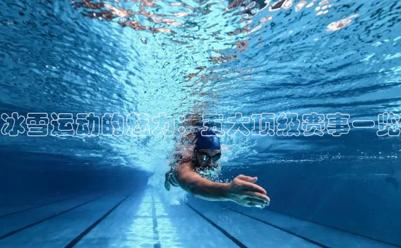 杏鑫平台注册登录