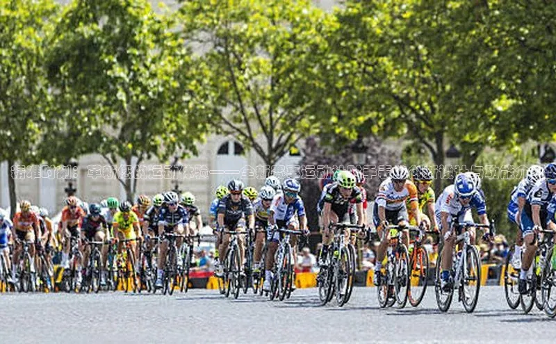 杏鑫平台注册登录