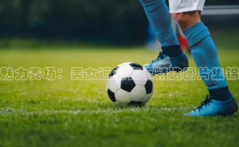 杏鑫注册中心